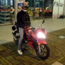 스펀지게임랜드 이미지