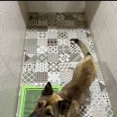 마오네 문덕점 이미지