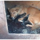 상근농장 이미지