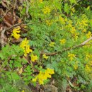 곡성-053 이미지