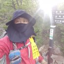 2019/06/1~2 낙남정맥 5-1구간(백무동~영신봉~솔티고개) 66.8km 이미지