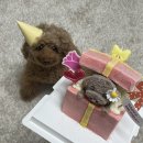 멍프레시 이미지