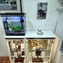 최용우한의원 이미지