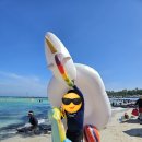 소꼽놀이 하우스 이미지