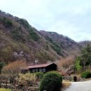 광치자연휴양림 이미지