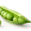 완두콩 단백질 효능 칼로리 영양성분 부작용 이미지