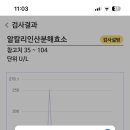 삼일병원 | 갑상선암 병원 고민...(여성모/삼일병원/구병원)