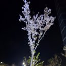 대양교 공중화장실(도로변) | 부산 벡스코 벤츠 기브앤레이스 대회 참가 후기 - 대구에서 부산까지 기차로