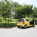 애견미용실 몽 이미지