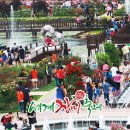 장미의거리7 이미지