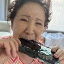 정심농장 이미지