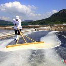 빛과갯벌-2 이미지