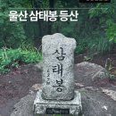 울산 북구, 경주 양남 삼태봉 등산후기 / 가볍게 다녀오기 좋은 산행코스