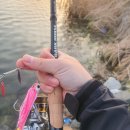 모월1호 이미지