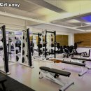 머슬팩토리easy