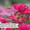 방량로농장 네이버블로그