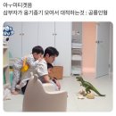 정우배농장 | 🍓스타벅스 딸기촉촉 초코생크림케이크+오징어테스트 mbti