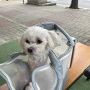 예치과병원 이미지