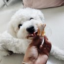 멜론 노래연습장 | 광주 첨단 아트박스 피규어 문구팬시