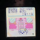 썸퍼플 이미지