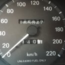 푸른카센타 이미지