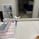 원영농장 | 일상