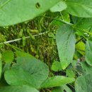 윤이농장 이미지