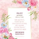 샬롬교육연구소 이미지