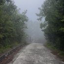 성주환경 | 대구 근교 트레일러닝 추천 | 성주 독용산성 임도 23km 코스 직접 뛰어본 후기