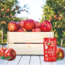 우송영농조합법인 이미지