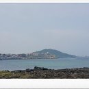 오늘약국 이미지