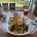 정글 게스트하우스 | [제주도 애월 정글게스트하우스 후기]1인 여행자에게 좋은 조식 포함 숙소