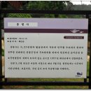 태안 인쇄 이미지