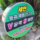 세연윤곽체형연구소 이미지