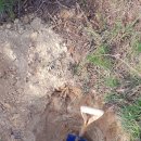 너래농원 이미지