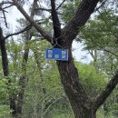남구-037 네이버블로그