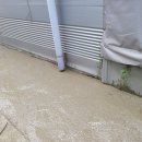 대도세차장 이미지