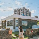 빈도롱이가 이미지