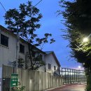 신도림고등학교 | 신도림테니스장 예약방법, 가격, 도림천역에서 가는 길 🎾