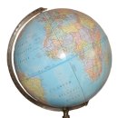 평일동물병원 이미지