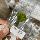 🌸서울공방 추천! 광진구공방 나니공방에서 도자기 원데이클래스 하고 온 후기💕