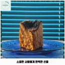 115 | 증산동 애견카페 헨쇼 가격 및 후기 추천 리뷰 주차 예약 알아볼까요