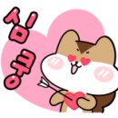 엔젤펫카페