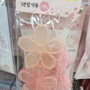 봄봄고산점 | 다이소 봄봄시리즈 벚꽃 감성 가득 대구수성구시지 방문 후기