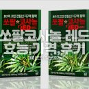 레드톱 | 쏘팔코사놀 레드 효능 부작용 가격 후기 전립선 걱정될때