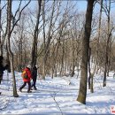 [온난화로 연기합니다] 1월12일 (토) 혹한기 스페샬 걷기 // 분당~광주 불문맹 섭렵하기 (거리 18km / 난이도 중급~중상급) 이미지