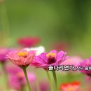 여름특집_재즈_솔나리연가_작사 솔체 장정희_가수 바람꽃_작 편곡 수노_기획 윤기영 이미지