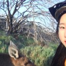 웨스턴헤이(주) 이미지