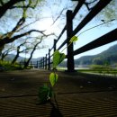 당촌경로당 이미지