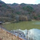 옥성자연휴양림 이미지